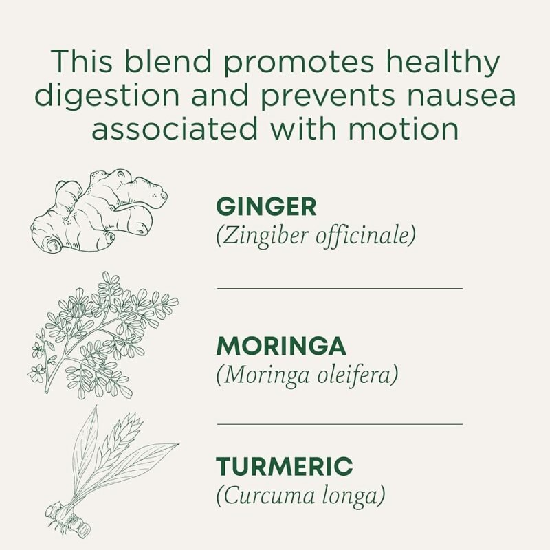 Traditional Medicinals Té Digestivo Organic Ginger Aid 16 Bolsitas - Imagen 2