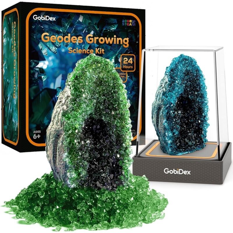 GobiDex Geodes Kit de Cultivo de Cristal para Niños