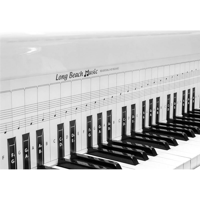 Long Beach Music Tabla con Notas para Practicar Piano 48 Pulgadas