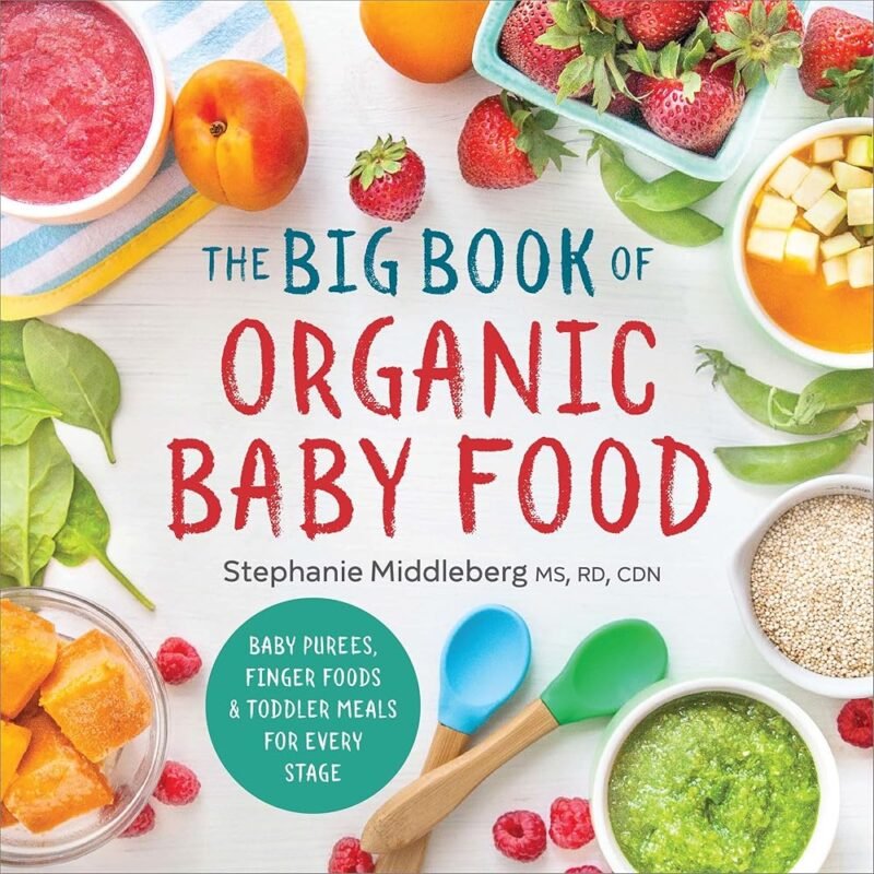 The Big Book of Organic Baby Food Recetas Saludables Para Bebés